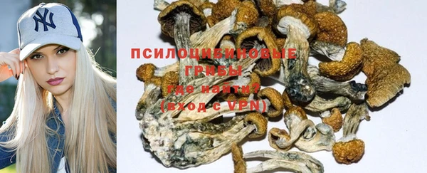 a pvp Арсеньев