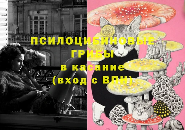 мдпв Армянск