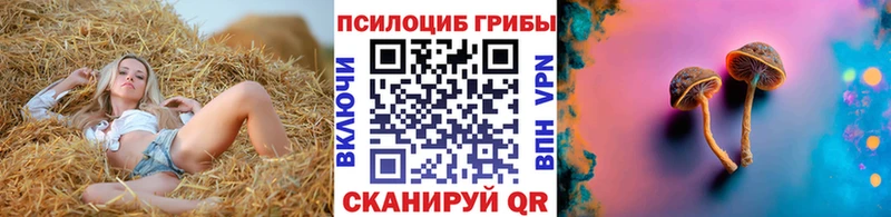 Галлюциногенные грибы Psilocybine cubensis  Сим 